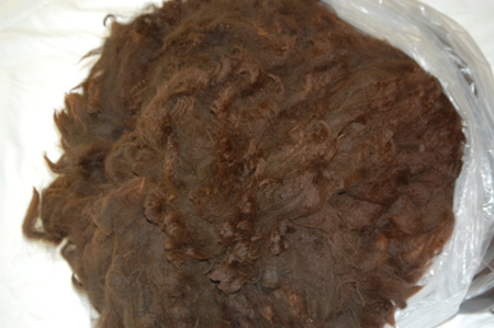MooseFleece2011.jpg